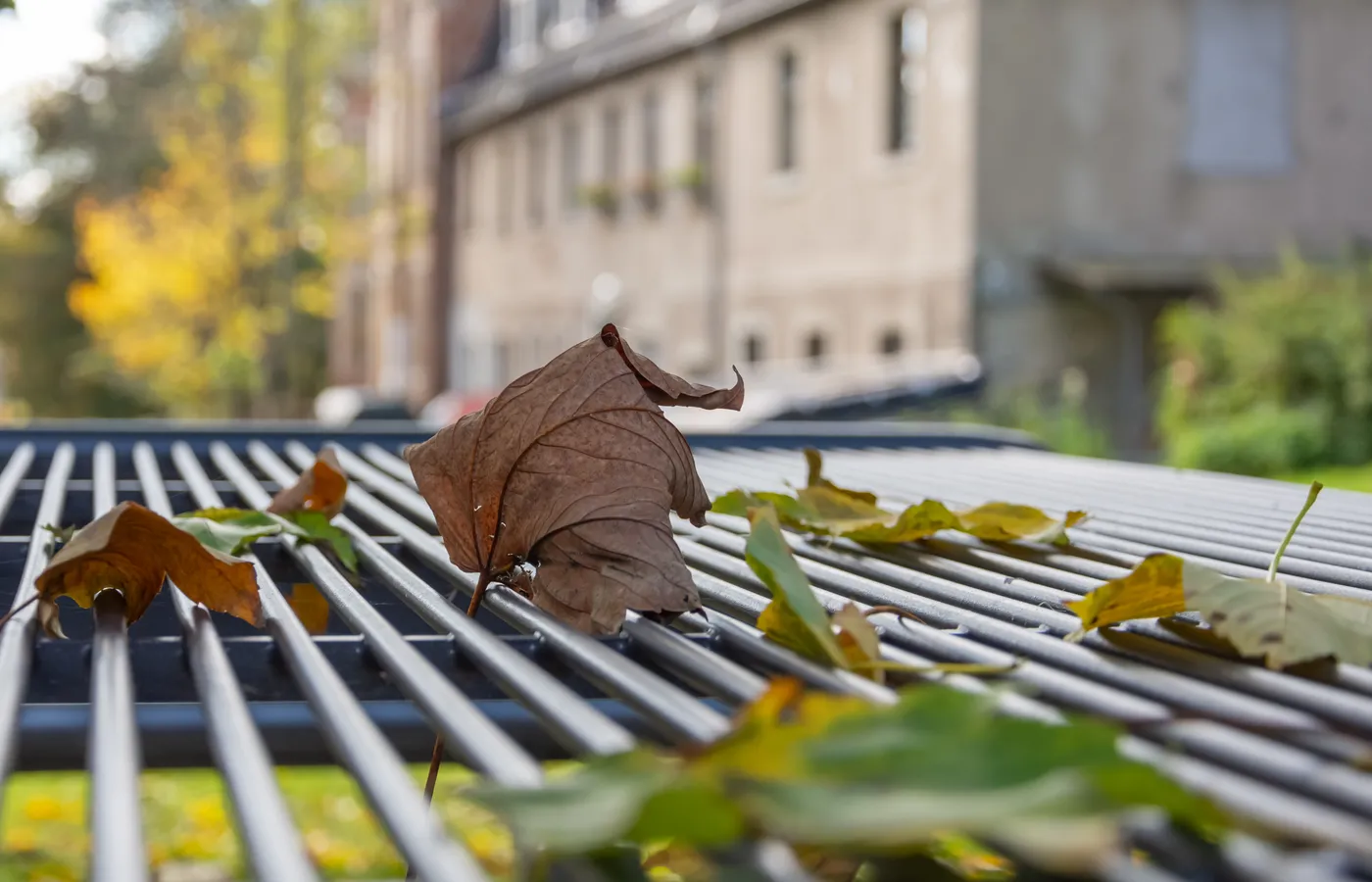 Fall Gutter Cleaning & Storm Prep in Decatur IL