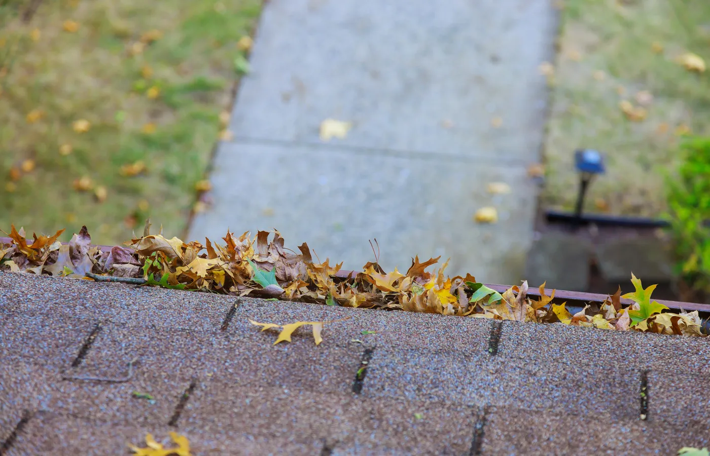 Gutter Debris Removal