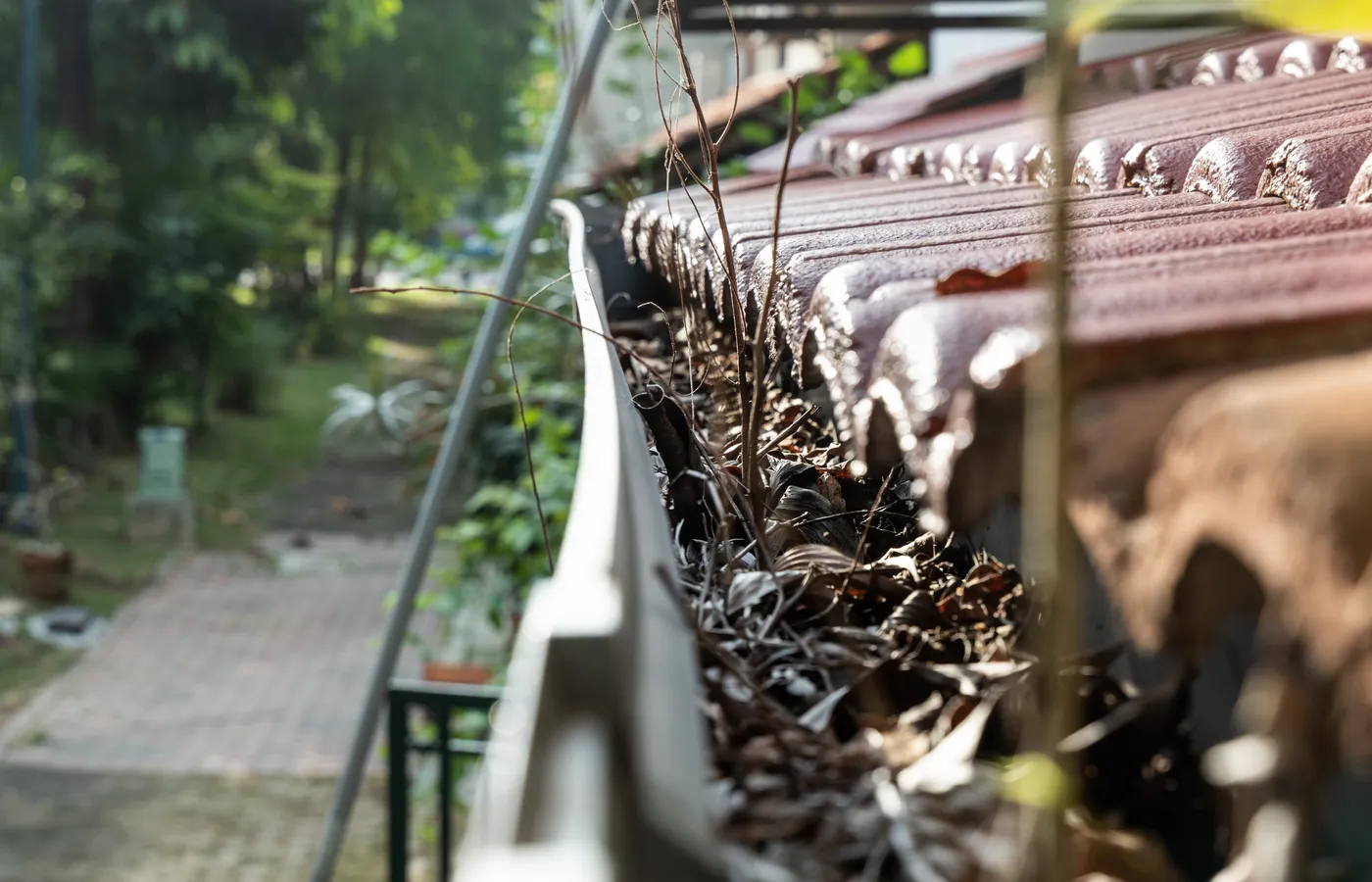 Clogged Gutter Cleaning